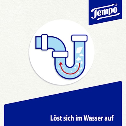 Feuchtes Toilettenpapier Mein Verwöhnmoment Care Olive (2x42 St) Tempo