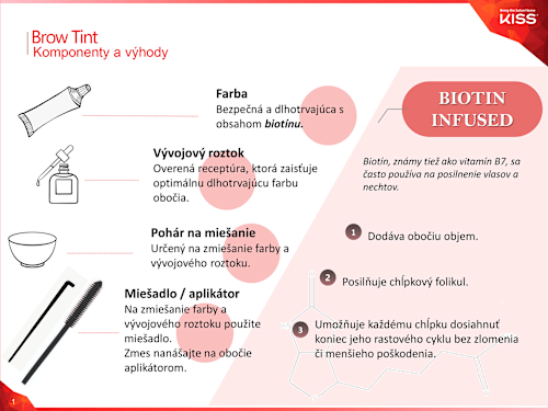Súprava na farbenie obočia Brow Tint DIY Kit - Black KISS