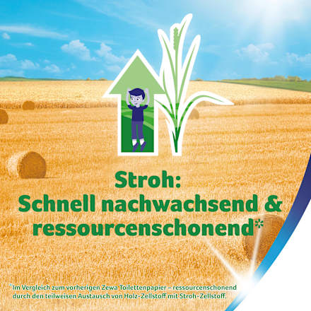 Toilettenpapier bewährt 3-lagig (16x150 Blatt) Zewa