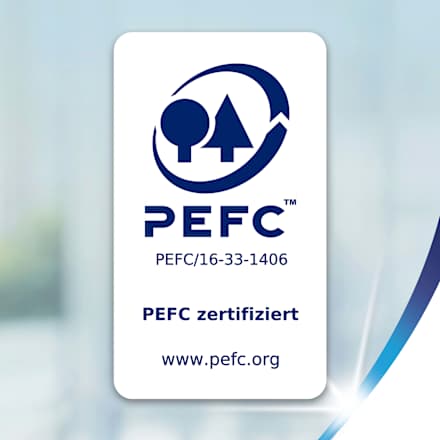 Küchenrolle Wisch&Weg Sparblatt (4x74 Blatt) Zewa