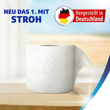 Toilettenpapier Premium 5-lagig (8x110 Blatt) Zewa