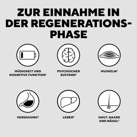 Wissenschaftliche Komplettmixtur Recovery After Sport | After Party (3 x 30g) KA-EX Reload