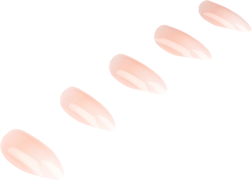 Künstliche Nägel Nail Addict French Ombre Fade ARDELL