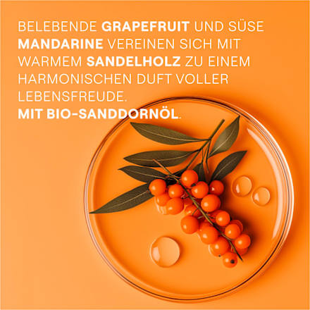 Duschgel Vitality  WELEDA
