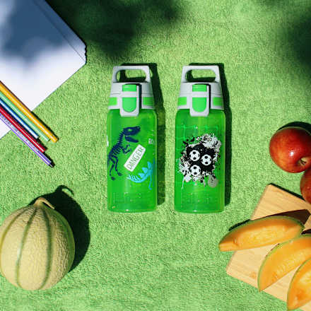 Trinkflasche Kinder Viva One Jurassica SIGG