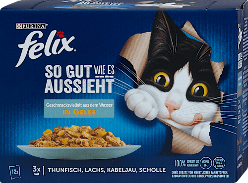 Nassfutter Katze So gut wie es aussieht Geschmacksvielfalt aus dem Wasser Felix