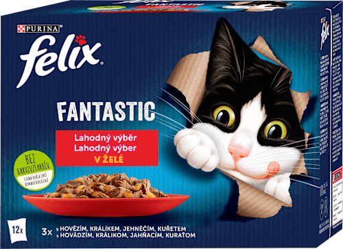 Fantastic pro kočky masový výběr v želé 12x85 g, Multipack Felix