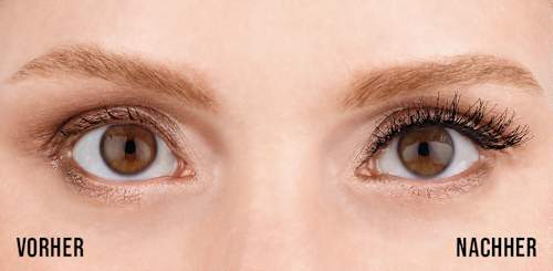 Künstliche Wimpern Natural 120 Demi Black (1 Paar) ARDELL