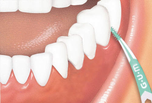 Interdentalpicks soft S GUM