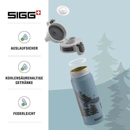 Trinkflasche Kinder WMB One blau, 600ml SIGG