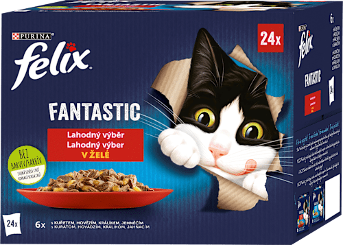 Fantastic pro kočky lahodný výběr 24x85 g Felix