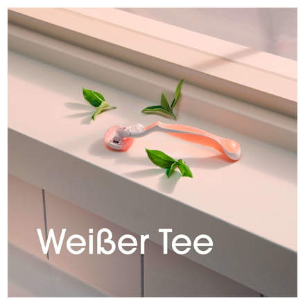 Lamette di ricambio Spa Breeze per donna Gillette Venus