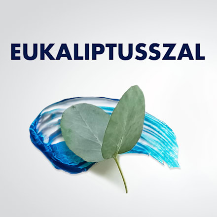 Series Borotvazselé Cooling Gillette