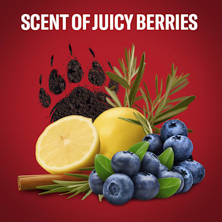 sprchový gel Super Mario/Bearglove  3 v 1 Old Spice