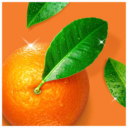 Küchenreiniger Fettentferner Orange Meister Proper