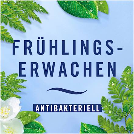 Lufterfrischer Car Frühlingserwachen Febreze
