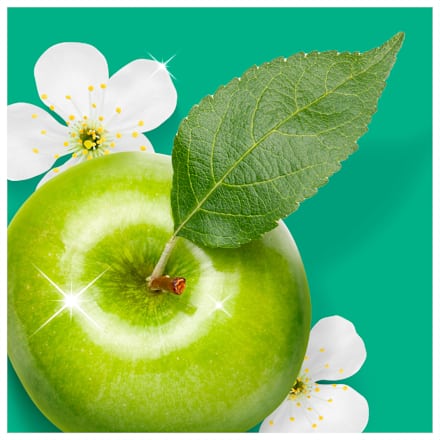 Allzweckreiniger Spray Antibakteriell Meister Proper