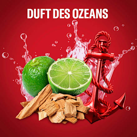Deostick Captain Old Spice