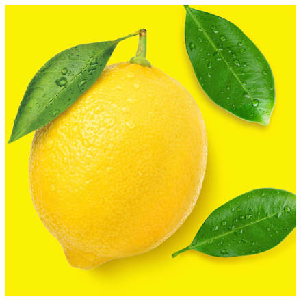 Allzweckreiniger Citrusfrische  Meister Proper