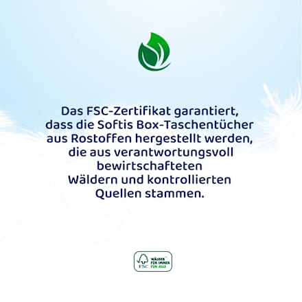 Toilettenpapier 4-lagig (4x100 Blatt) Softis