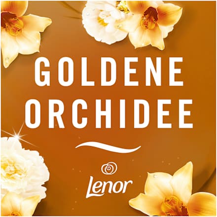 Lufterfrischer Duftstecker Goldene Orchidee Nachfüllpack Febreze