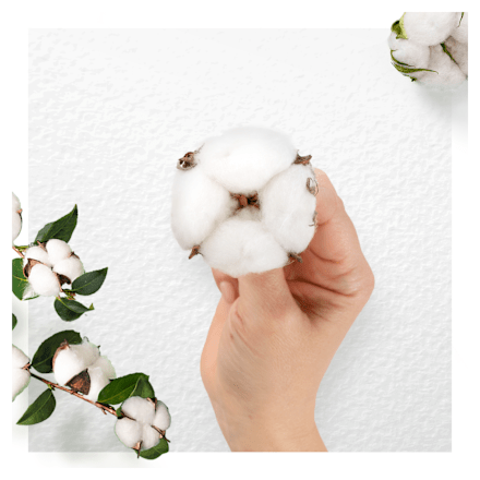 Cotton Protection vložky Ultra nigth always