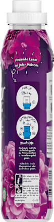 Weichspüler Amethyst Blütentraum 38 WL Lenor