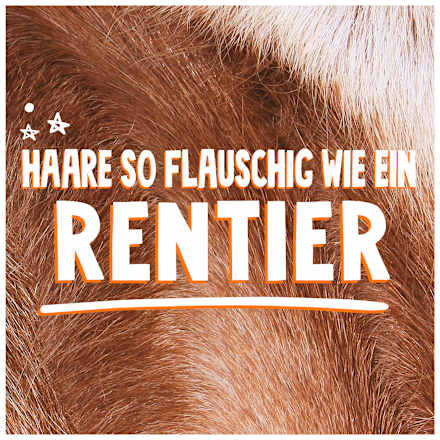 Haarmaske Reindeer Bear Fruits