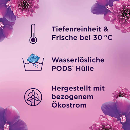 Colorwaschmittel Pods Amethyst Blütentraum Lenor