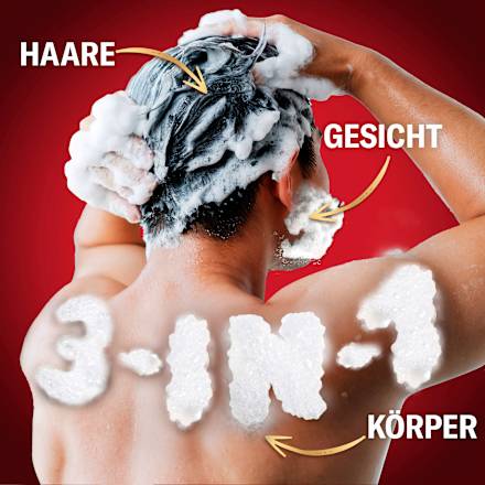Duschgel Wolfthorn 3in1 Old Spice