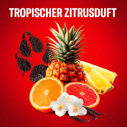 Duschgel Wolfthorn 3in1 Old Spice