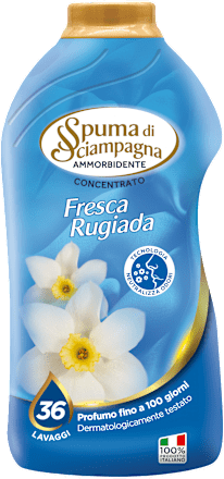 Ammorbidente concentrato Fresca Rugiada Spuma di Sciampagna