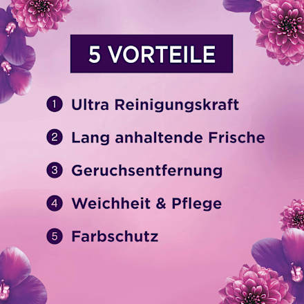 Colorwaschmittel Pods Amethyst Blütentraum Lenor