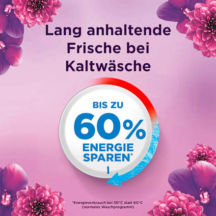 Colorwaschmittel Pods Amethyst Blütentraum Lenor