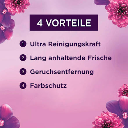 Colorwaschmittel Amethyst Blütentraum flüssig Lenor