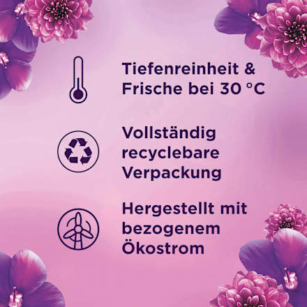 Waschmittel Flüssig Amethyst Blütentraum  Lenor