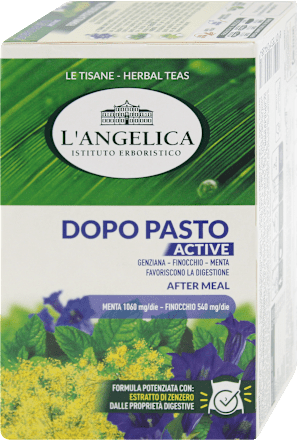 Tisana funzionale dopo pasto L'ANGELICA