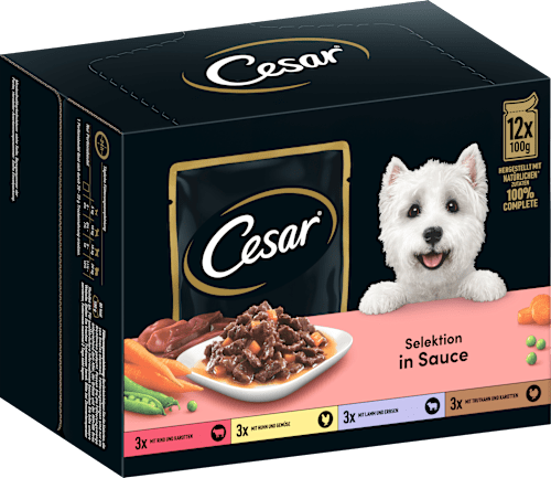 Nassfutter Hund Selektion in Sauce, Multipack (12x100 g) Cesar