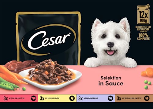 Nassfutter Hund Selektion in Sauce, Multipack (12x100 g) Cesar