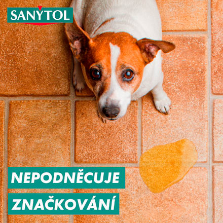 dezinfekční čistič na podlahy limetka SANYTOL
