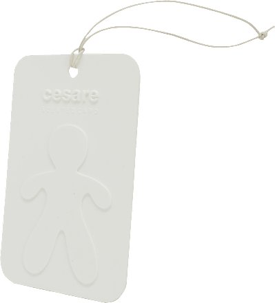 Vôňa do auta Cesare Scented Card - Fresh Air Mr&Mrs