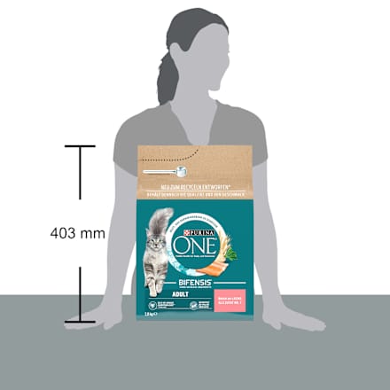 Trockenfutter Katze mit Lachs & Vollkorn Getreide, Adult PURINA ONE