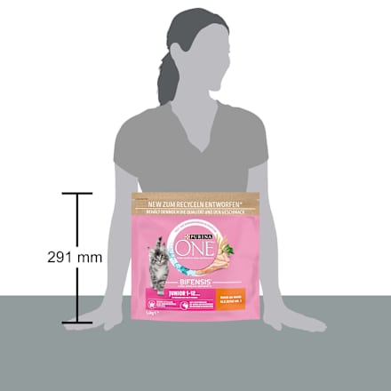 Trockenfutter Katze Kitten mit Huhn, Junior                                               PURINA ONE