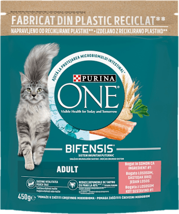 Potpuna hrana za mačke s lososom PURINA ONE
