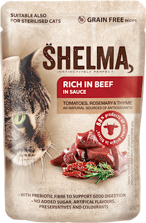 kapsička pro kočky s hovězím Shelma