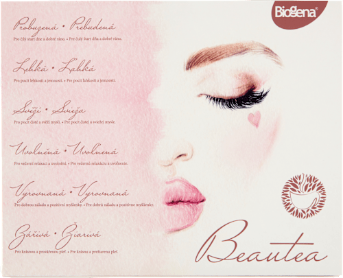 Beautea směs na přípravu čaje 6x10ks BIOGENA