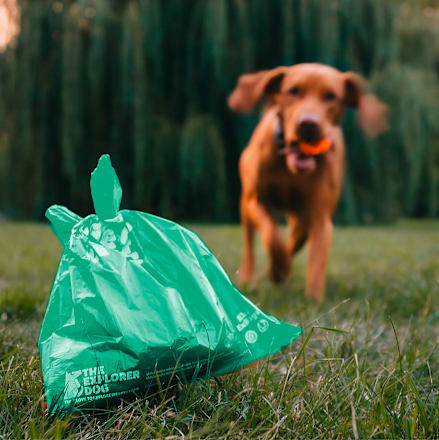 Vrecká na exkrementy pre psy Eko ExBags - mätová / oranžová THE EXPLORER DOG