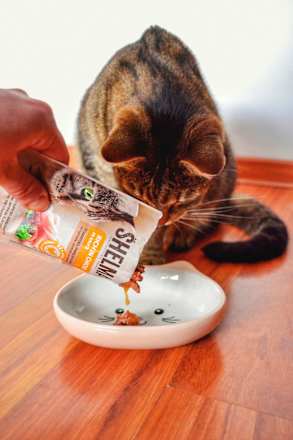 Nassfutter Katze mit Rind, Truthahn, Huhn & Ente, Multipack (24x85 g) Shelma