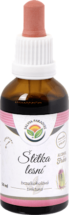 štětka lesní SALVIA PARADISE