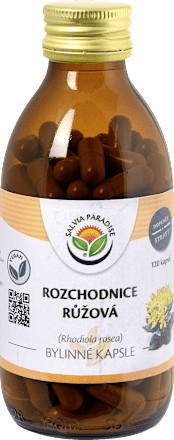 Rozchodnice růžová SALVIA PARADISE